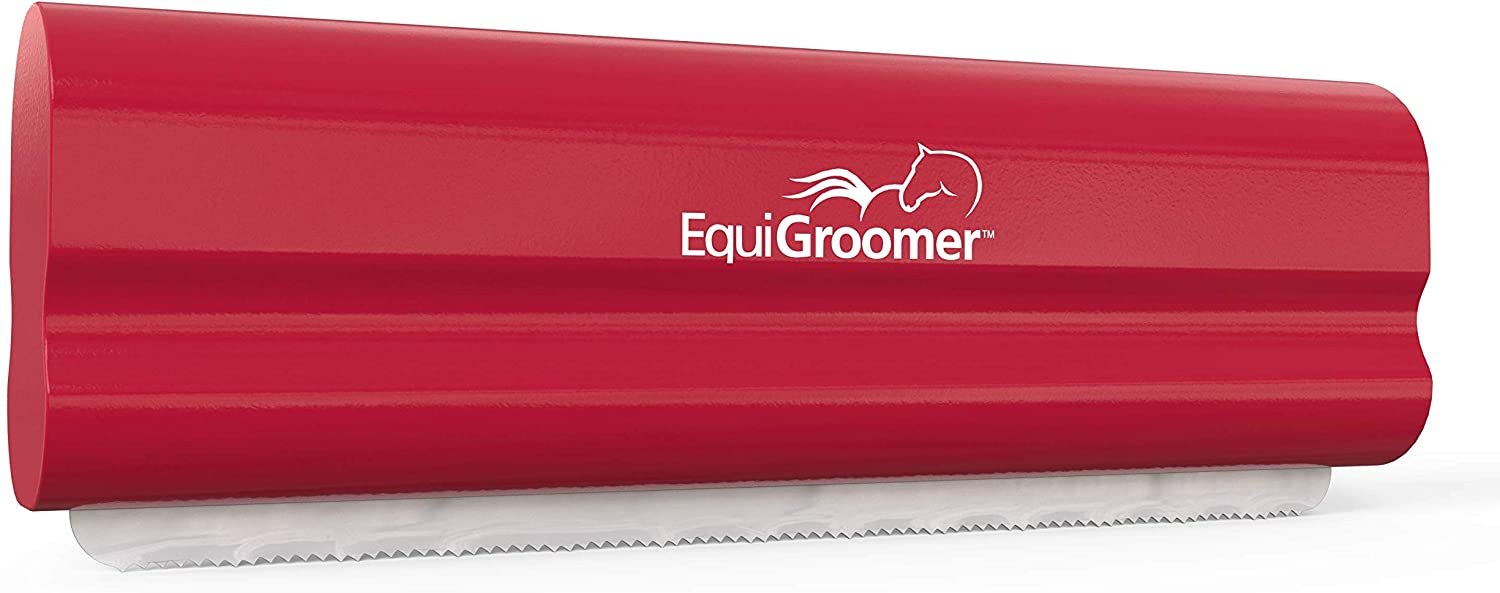 How to Accurately Measure a Horse - EquiGroomer