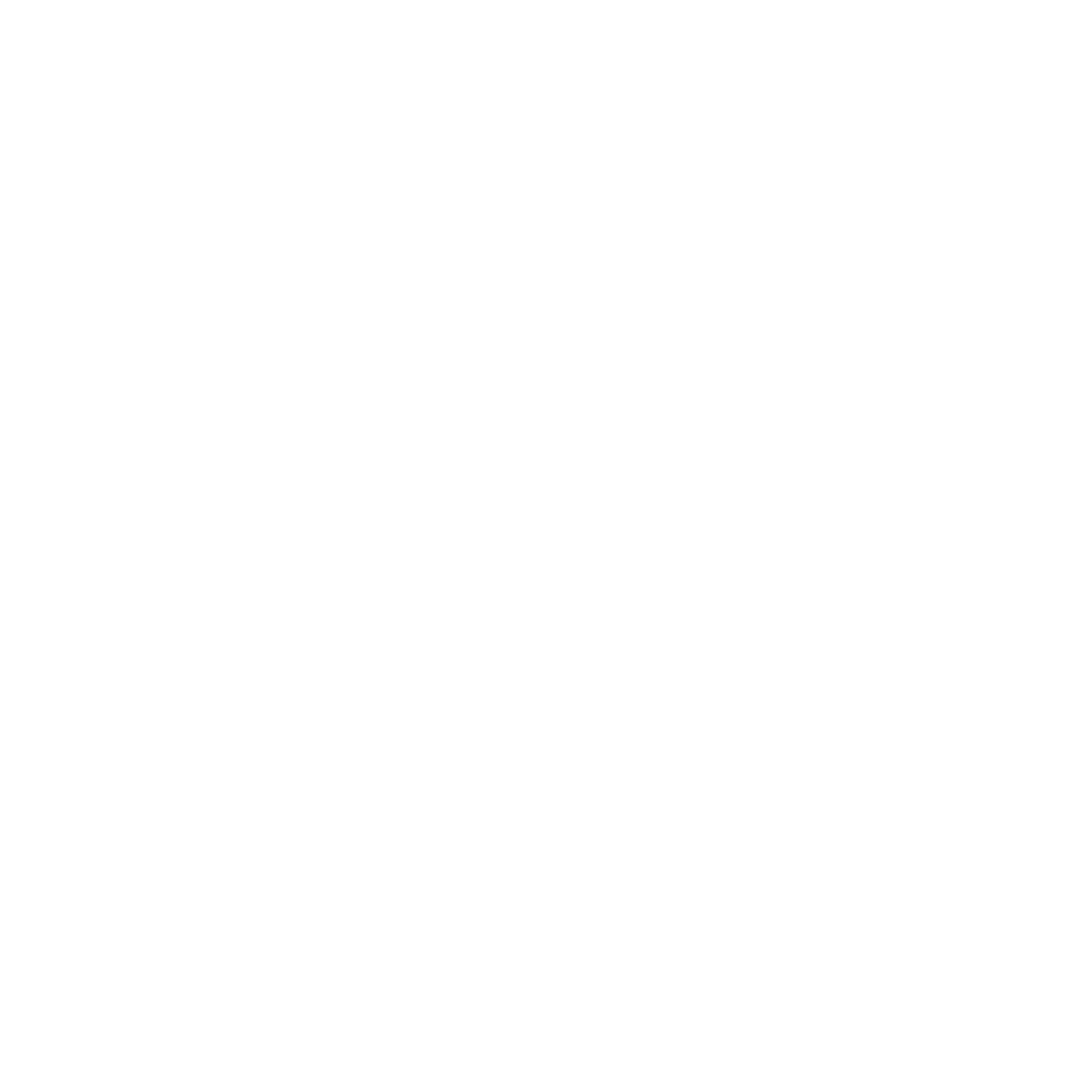 The BRO Experience Foundation