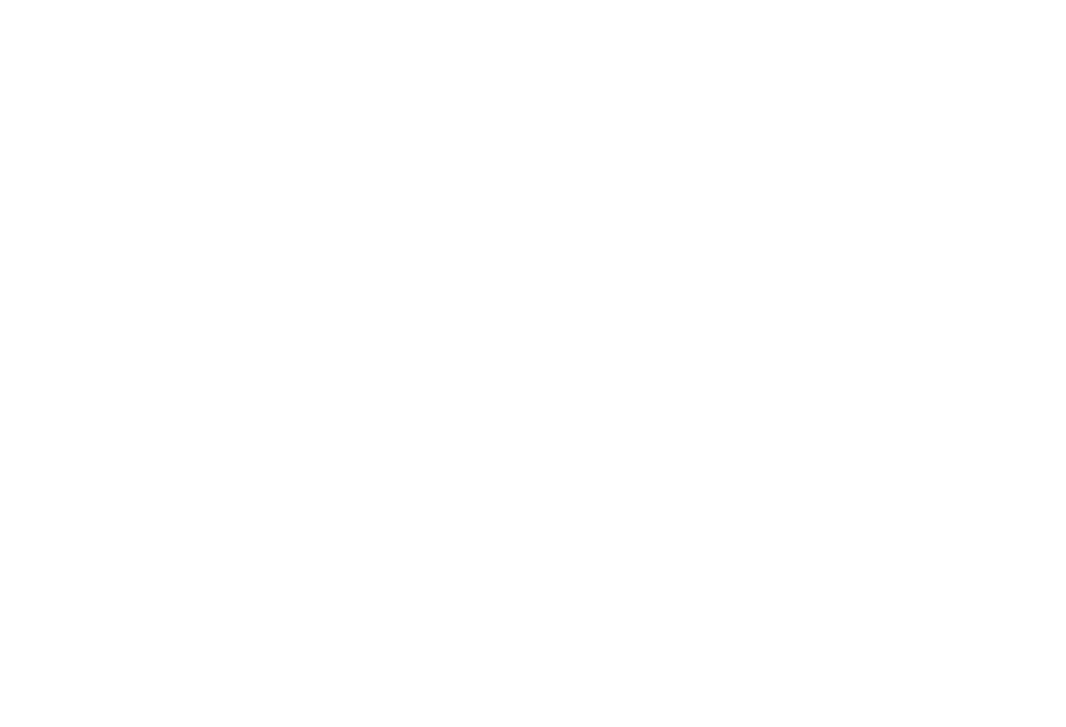Early American Workshop