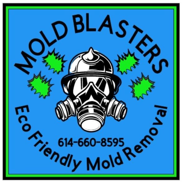 Mold Blasters