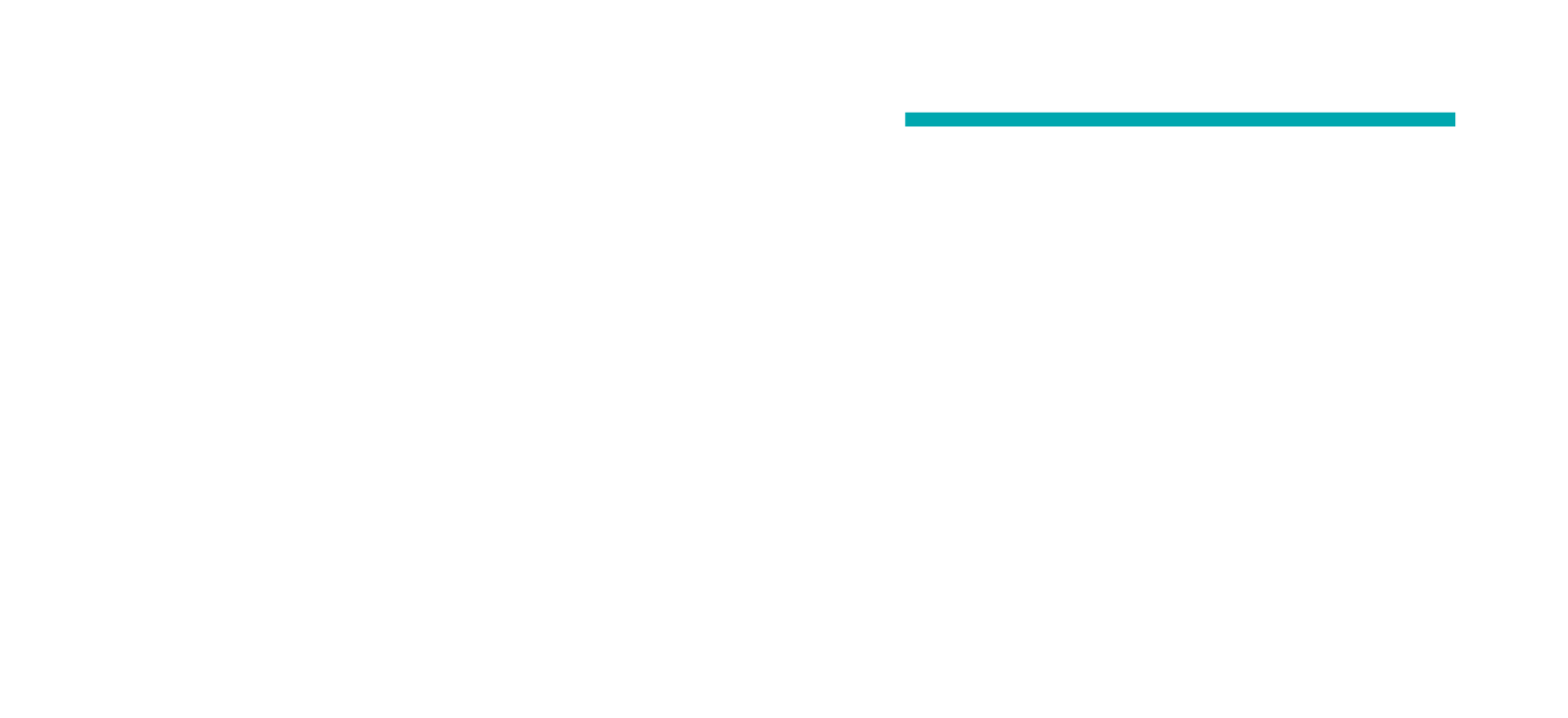 LayerOne Advanced Materials