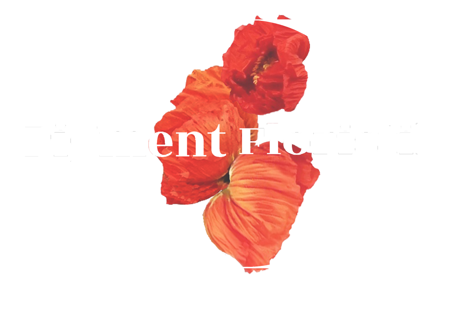 Pigment Floristik