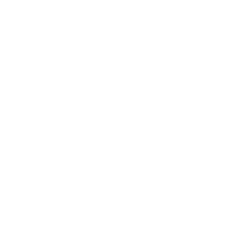 Tierra Foods