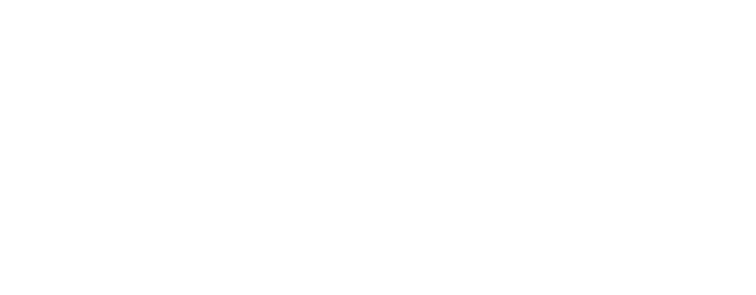 Shindy Studio