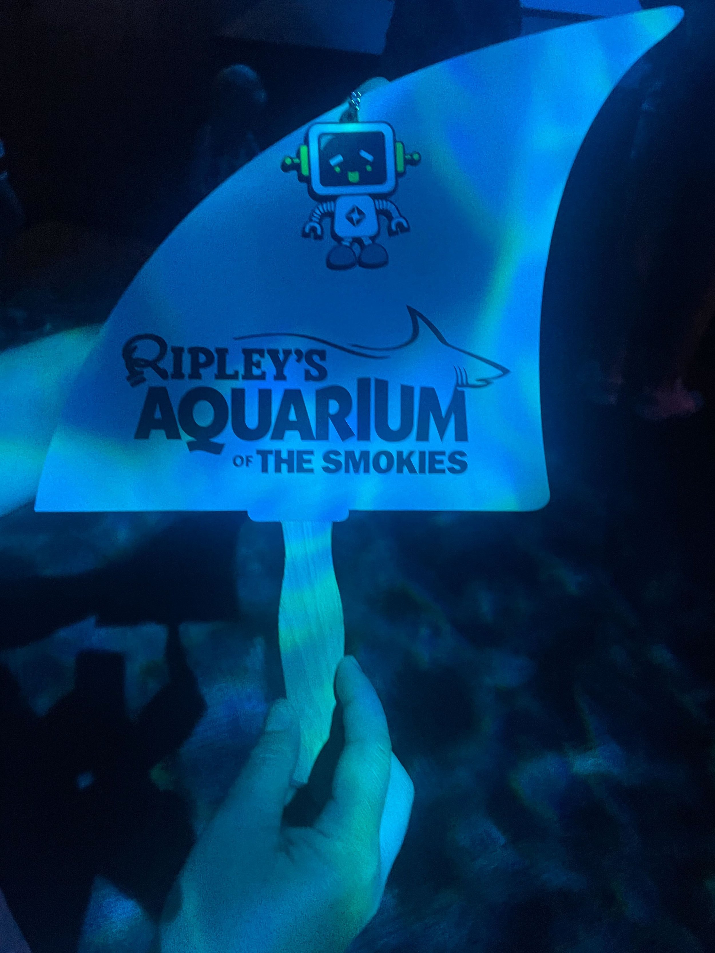 RoBert visited Aquarium of the Smokies in Gatlinburg, TN
