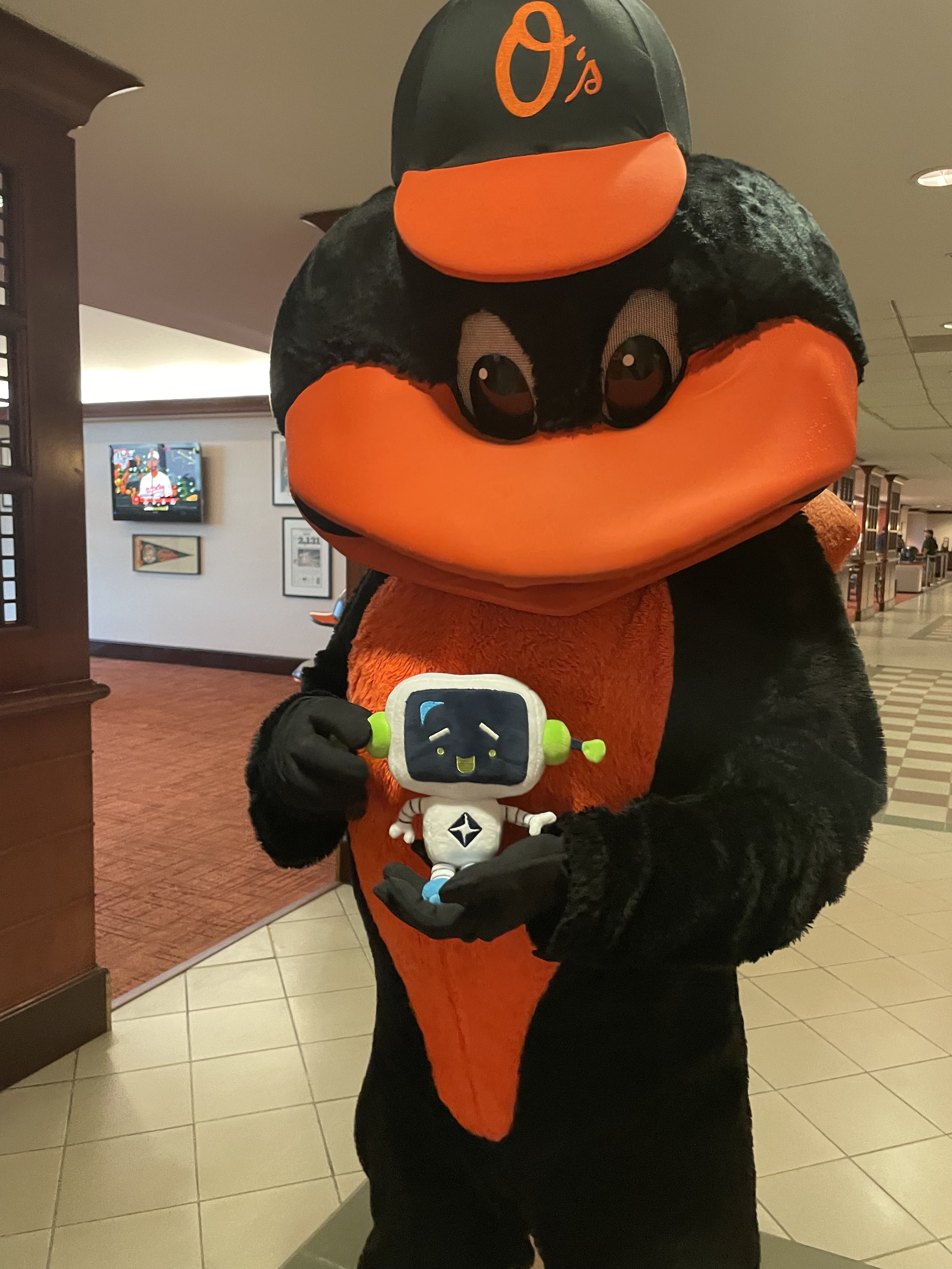 Baltimore, Maryland - Orioles Game with Bird