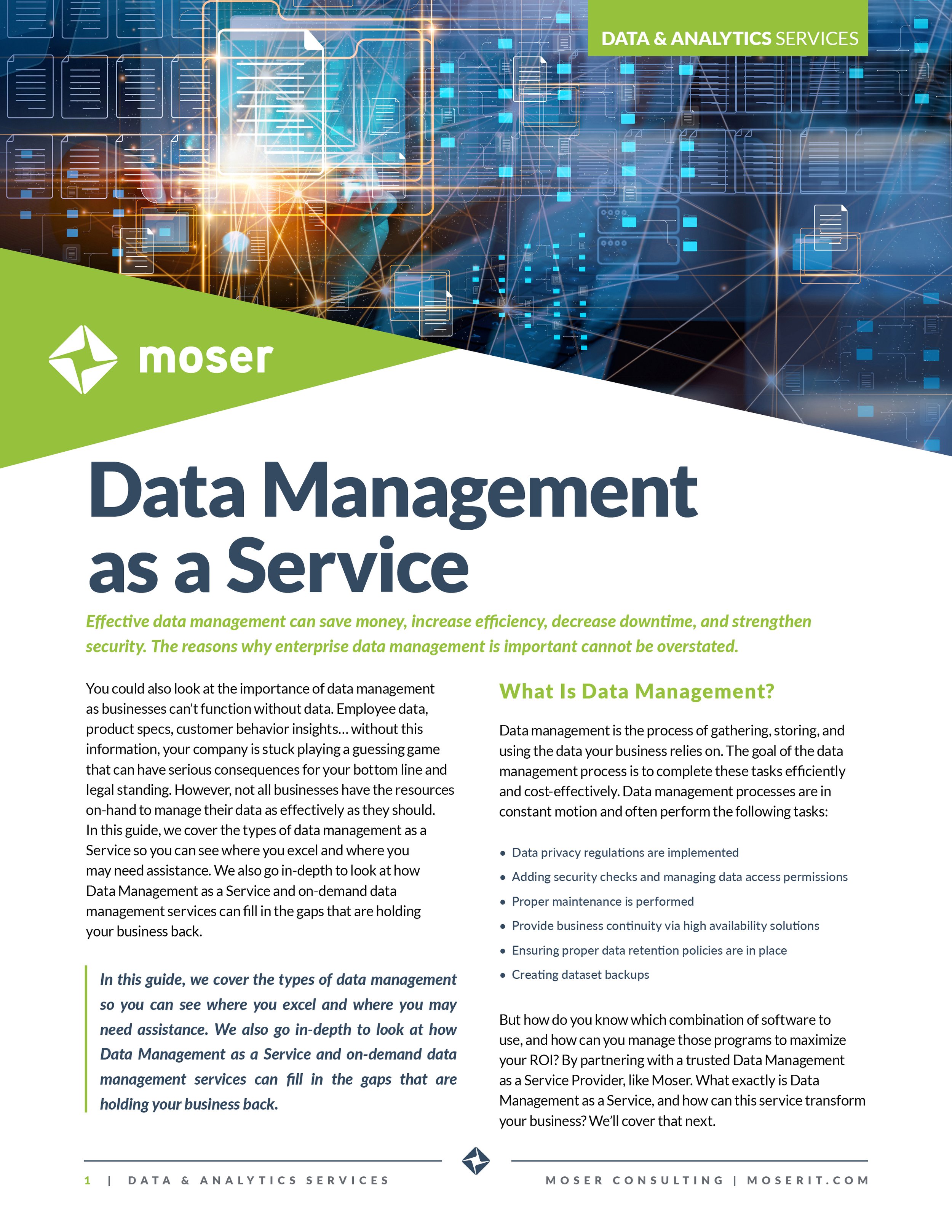 Data Management as a Service white paper cover preview