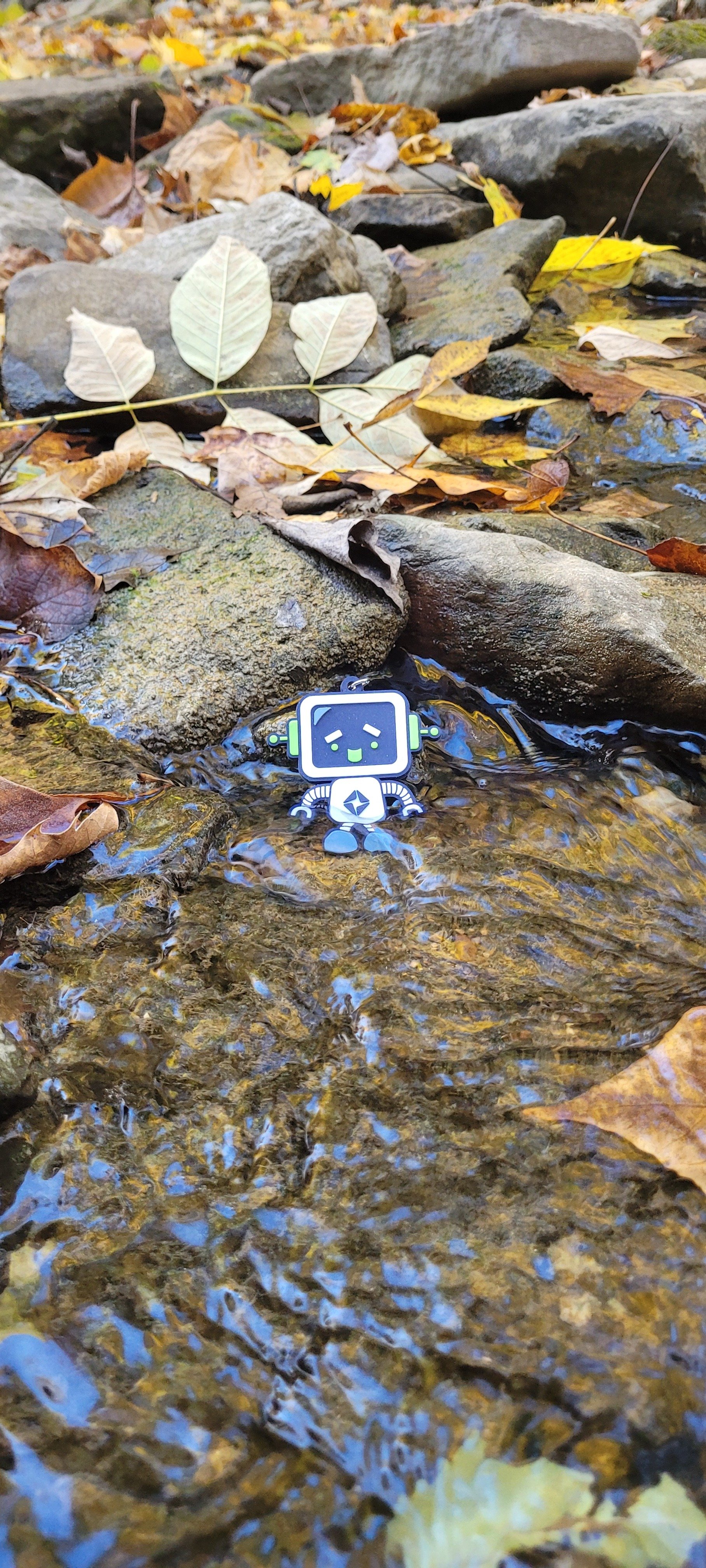 RoBert fell off the trail and got in the drink at McCormick's Creek State Park.