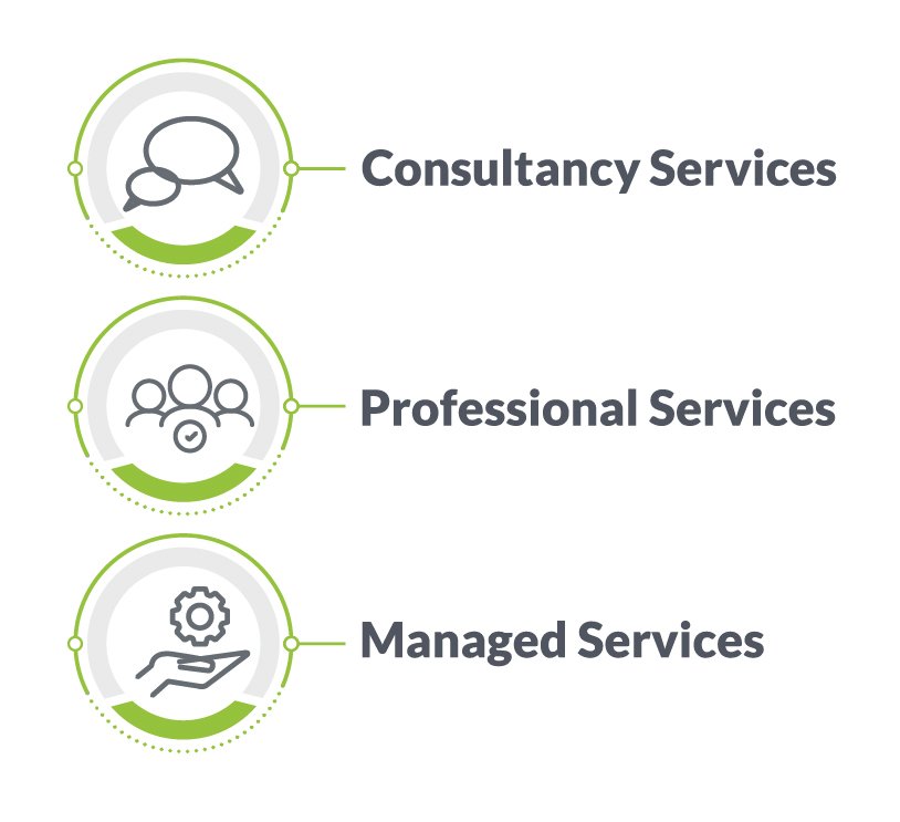 Moser serves their clients via three models: Consultancy Services, Professional Services, and Managed Services