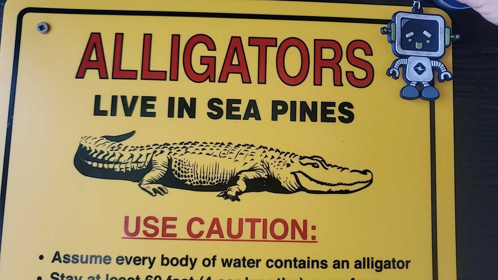 RoBert was not happy with the Hilton Head Island nature hike. Especially after it was explained that an alligator's bite pressure can reach more than 2000 PSI, enough to bite through steel.