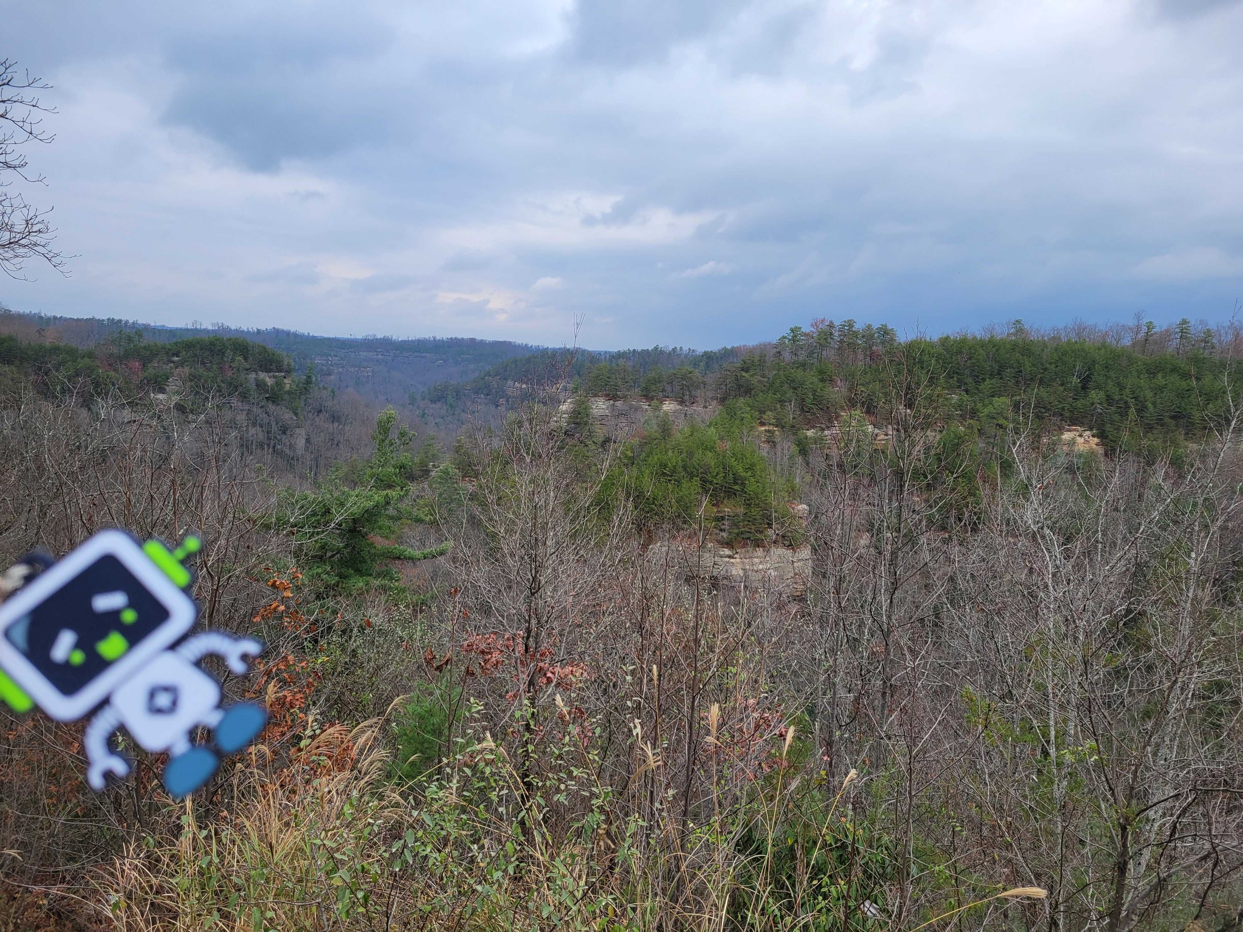 Red River Gorge Kentucky