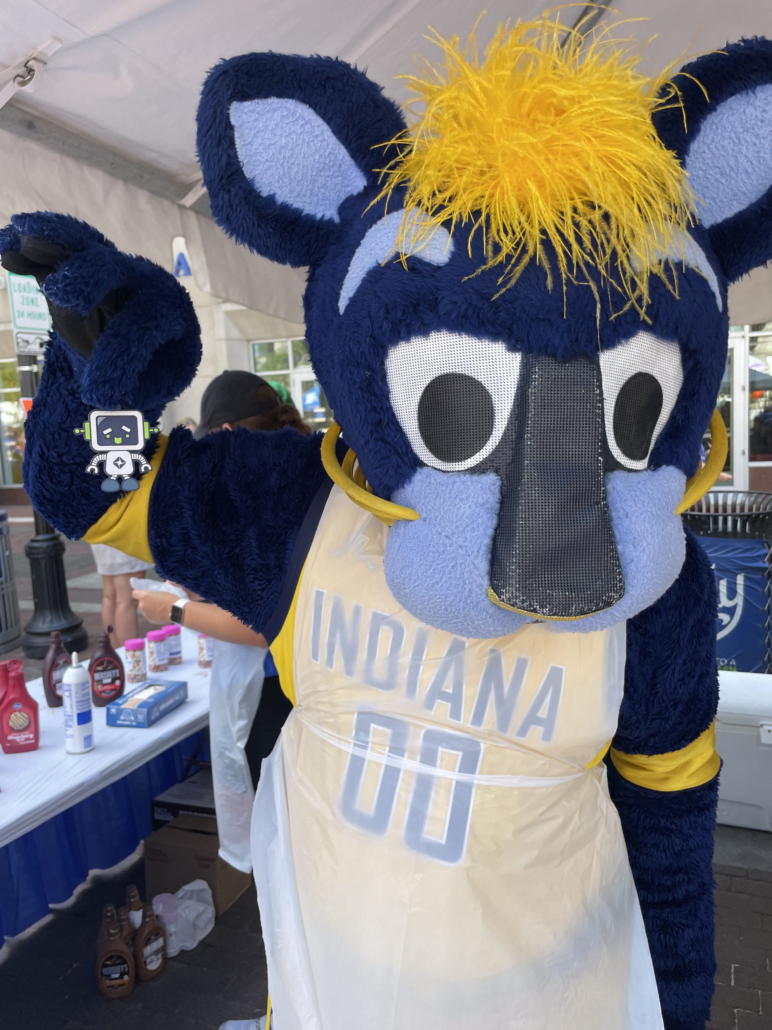 Indianapolis, Indiana - Pacers Game with Mascot Boomer