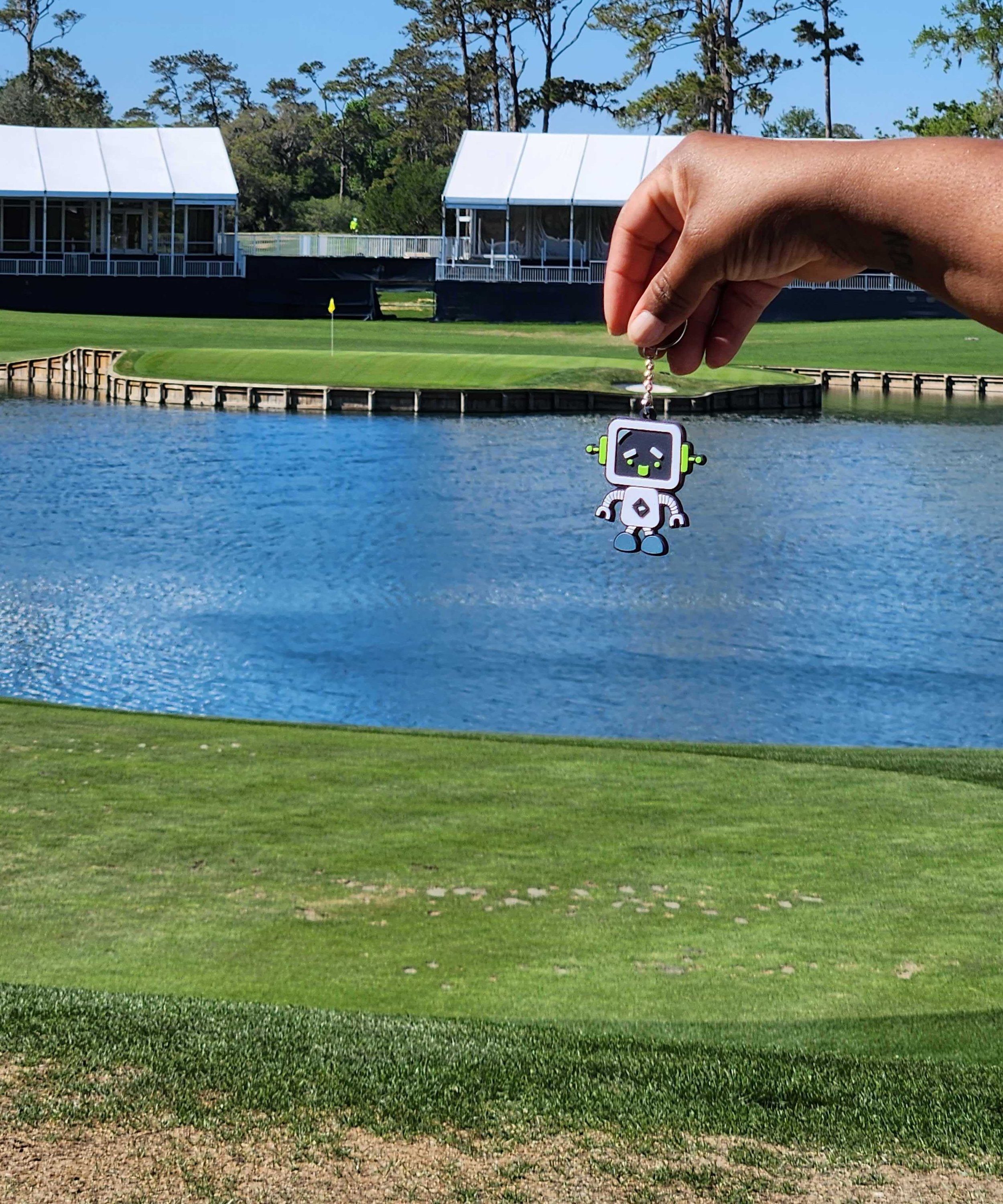 RoBert golfing at the 17th Green (Island) TPC Sawgrass in Florida