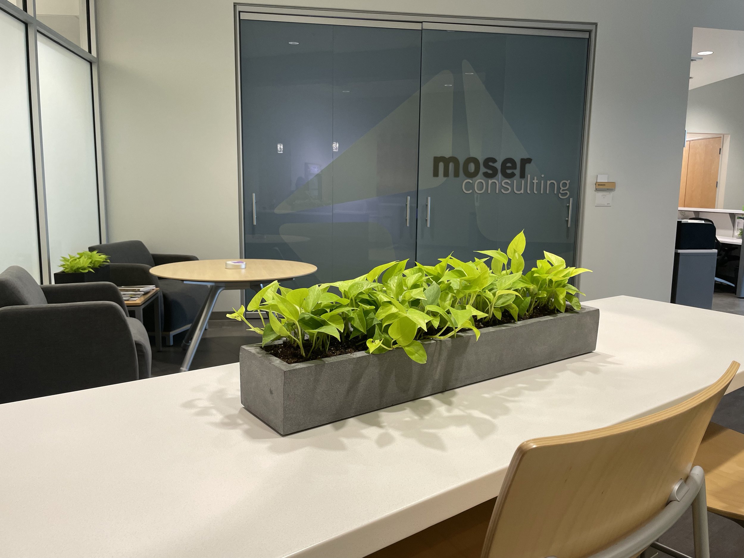 Moser has a headquarters in Castleton Indiana with a green space patio and plants throughout the building