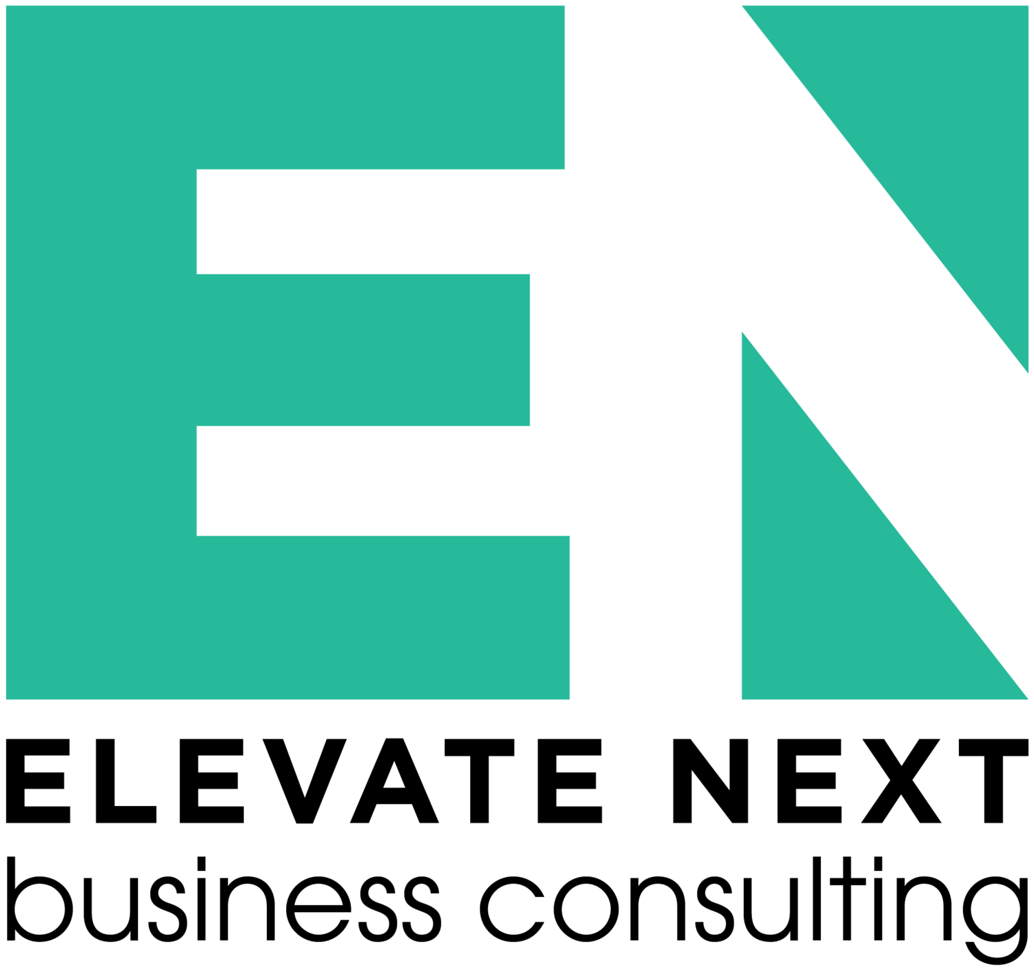 ELEVATE NEXT Business Consulting