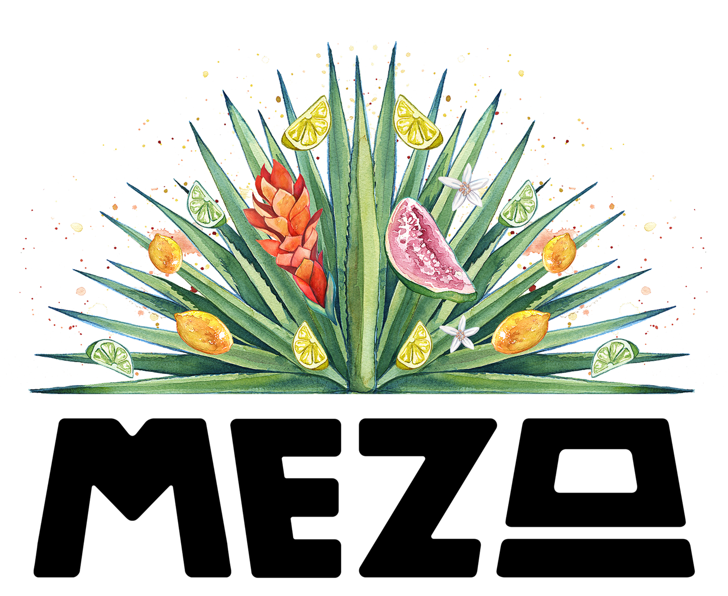 MEZO MEZCAL COCKTAILS