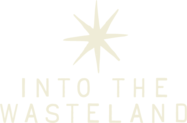 Into the Wasteland