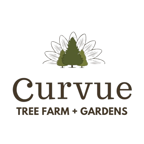 Curvue Tree Farm + Gardens
