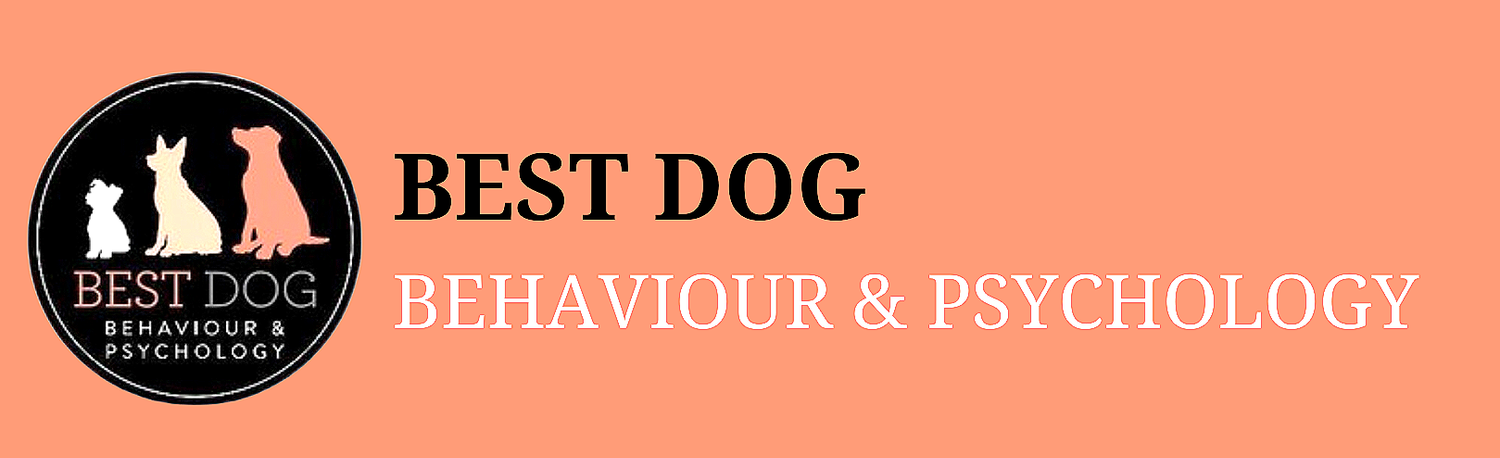 BEST DOG Behaviour Psychology and Training