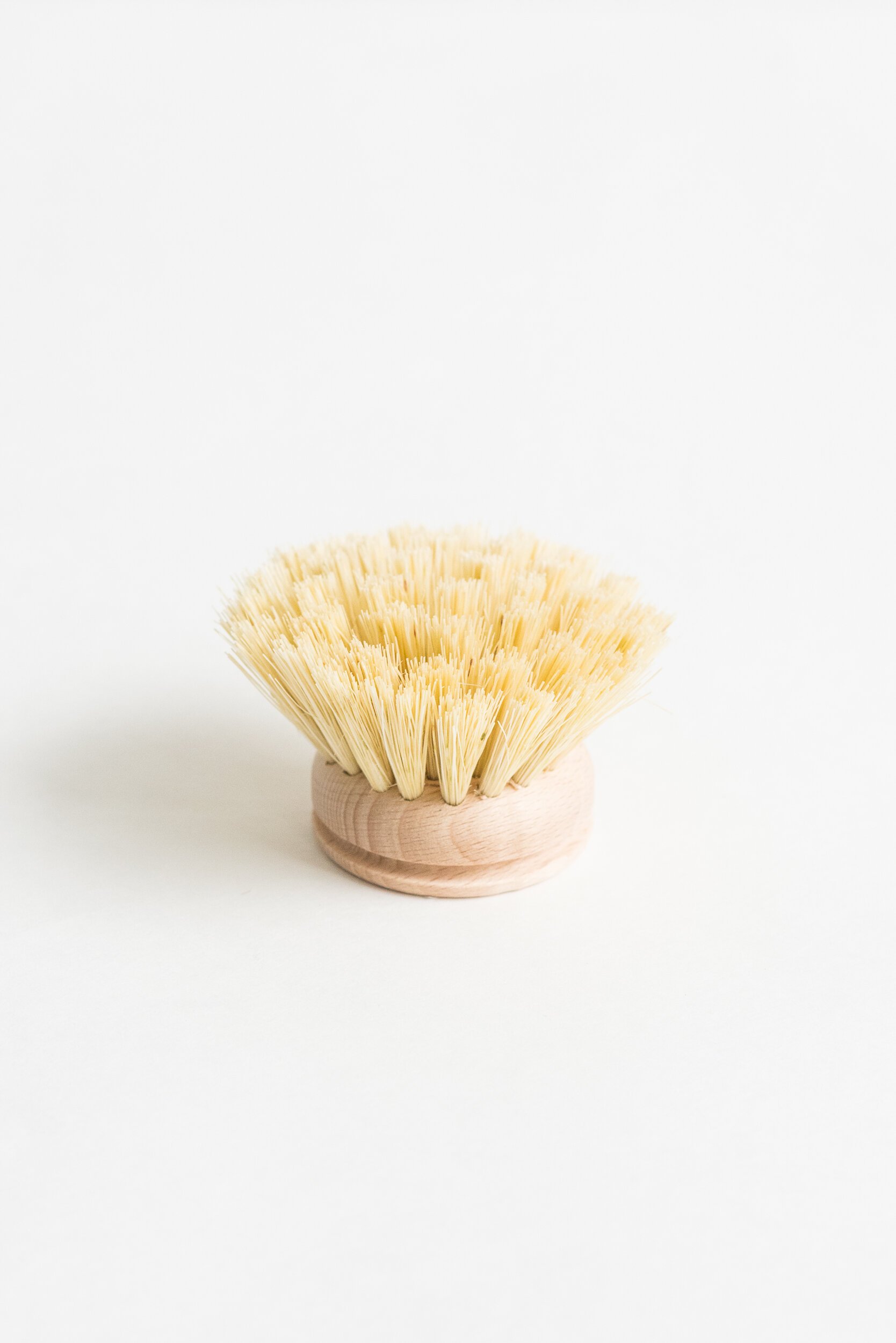 Tampico Fiber Dish Brush with Replaceable Head — Sunday Shop