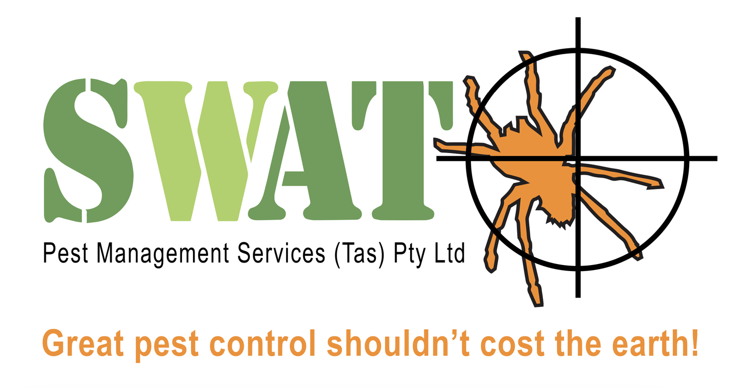     SWAT Pest Management