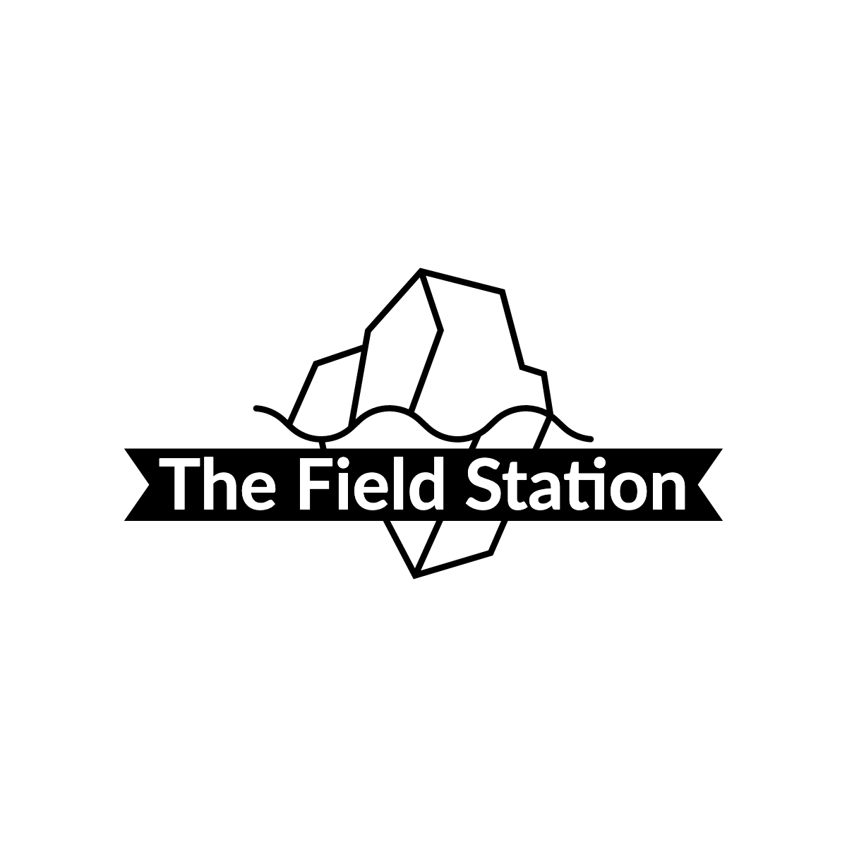 The Field Station