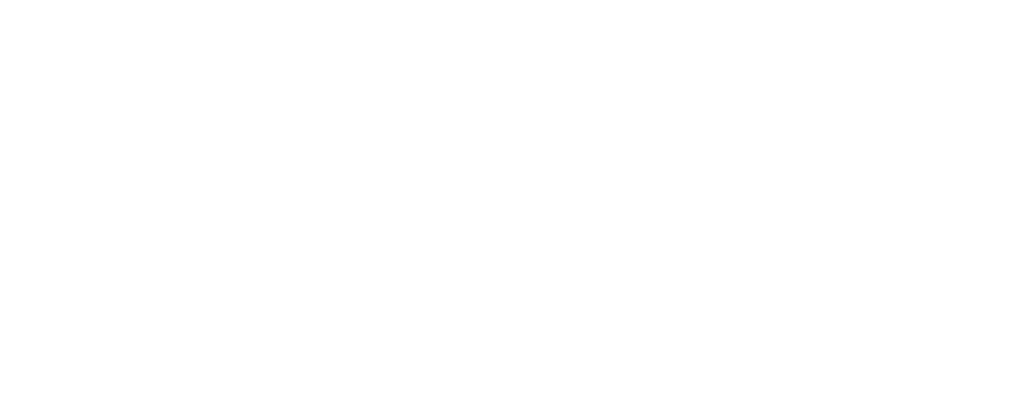 ACES International