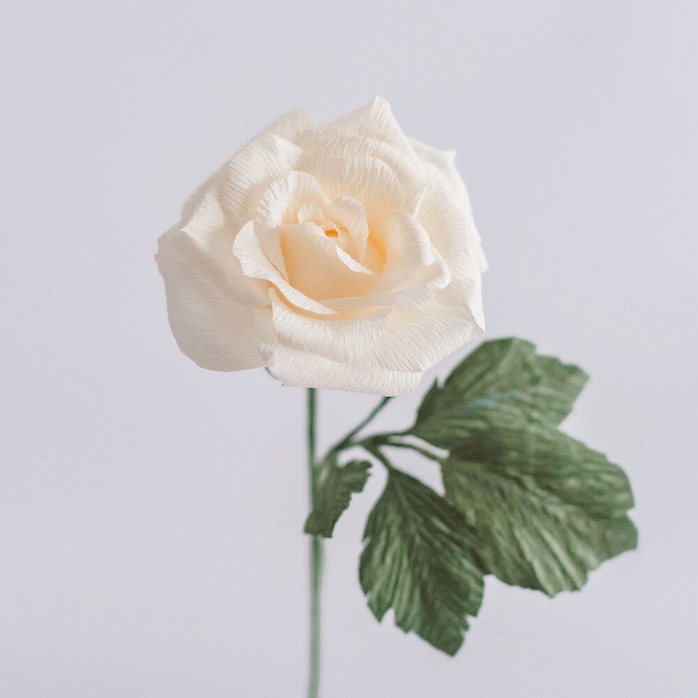 Paper Flower: Rose — Thistle & Bess