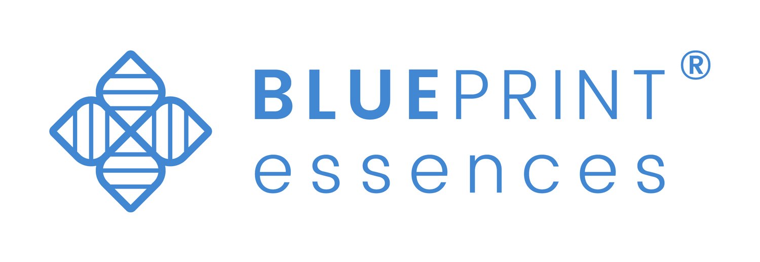 Blueprint Essences