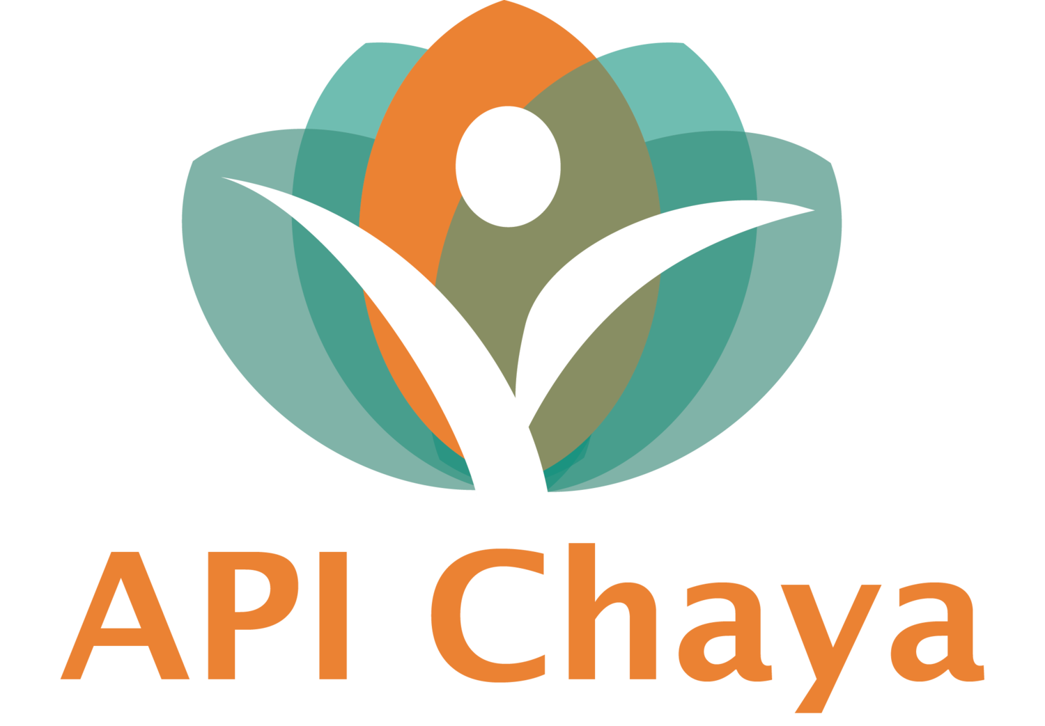 API Chaya