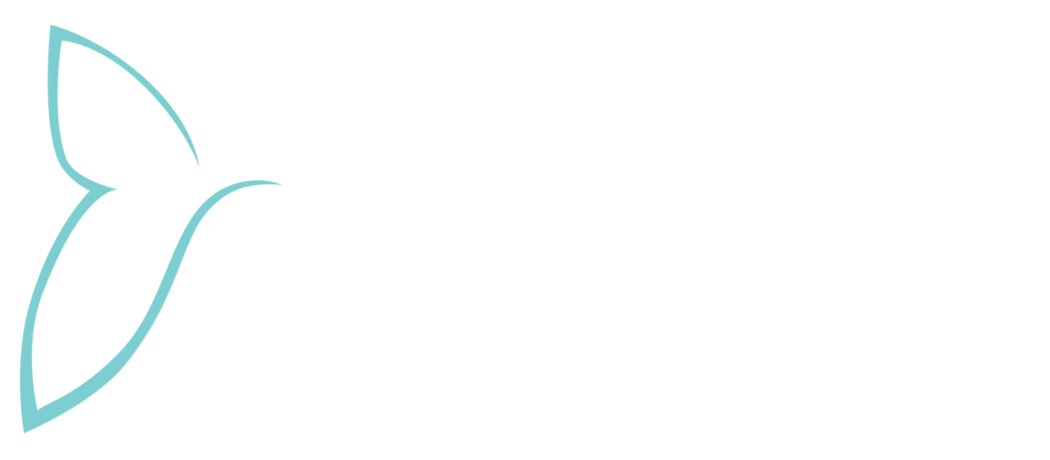 Chae Essentials