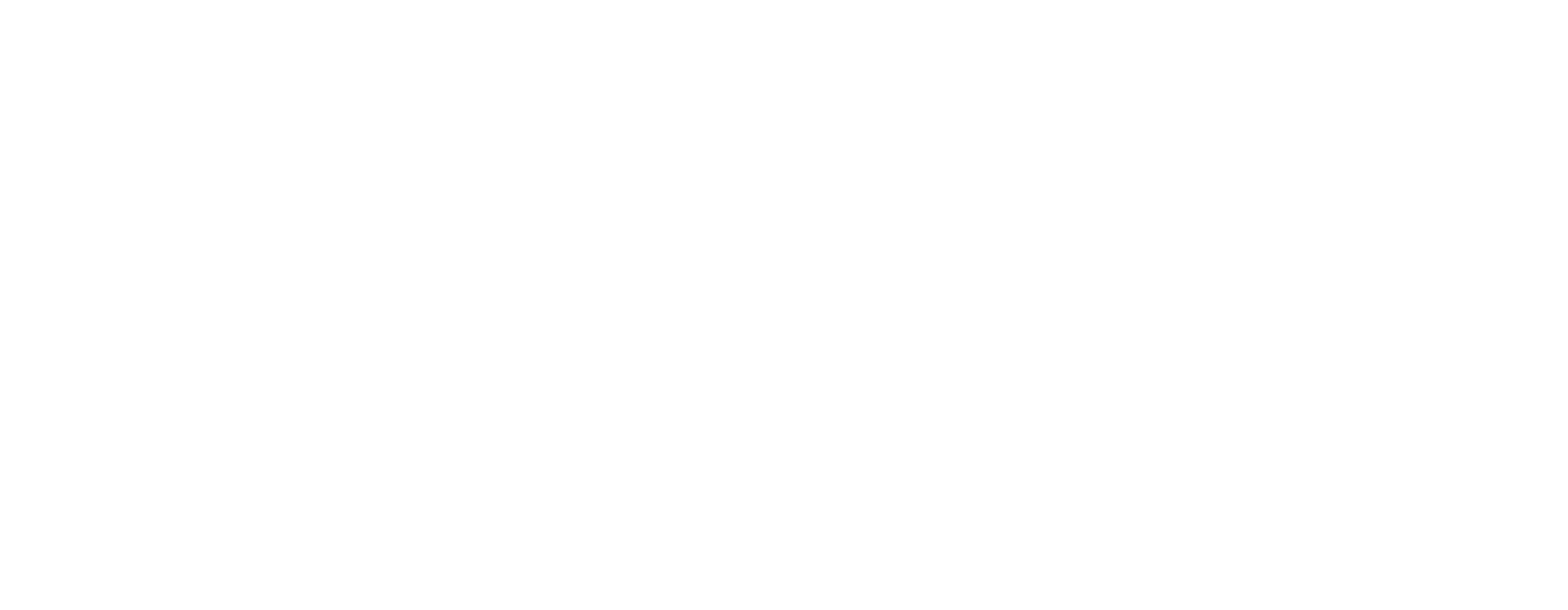 Beagle Media