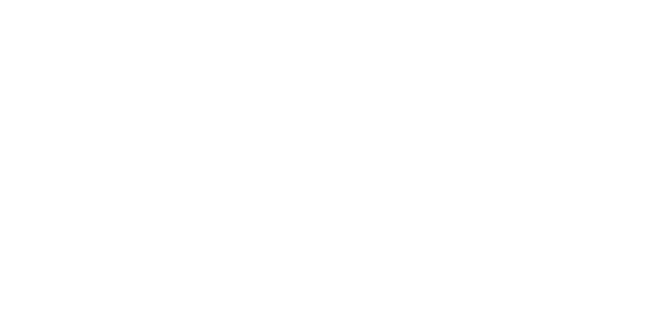 Boisselle, Morton &amp; Wolkowicz, LLP