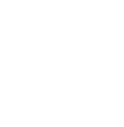 Mind of the Noise 
