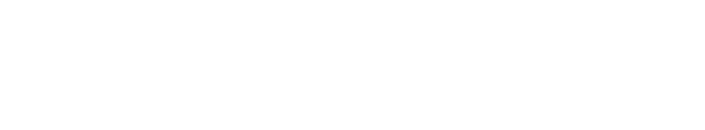 Onyx Styling Co. Portland Personal Stylist