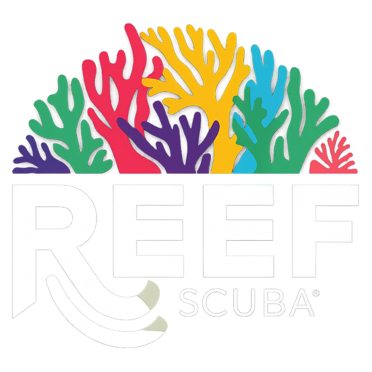 REEF Scuba