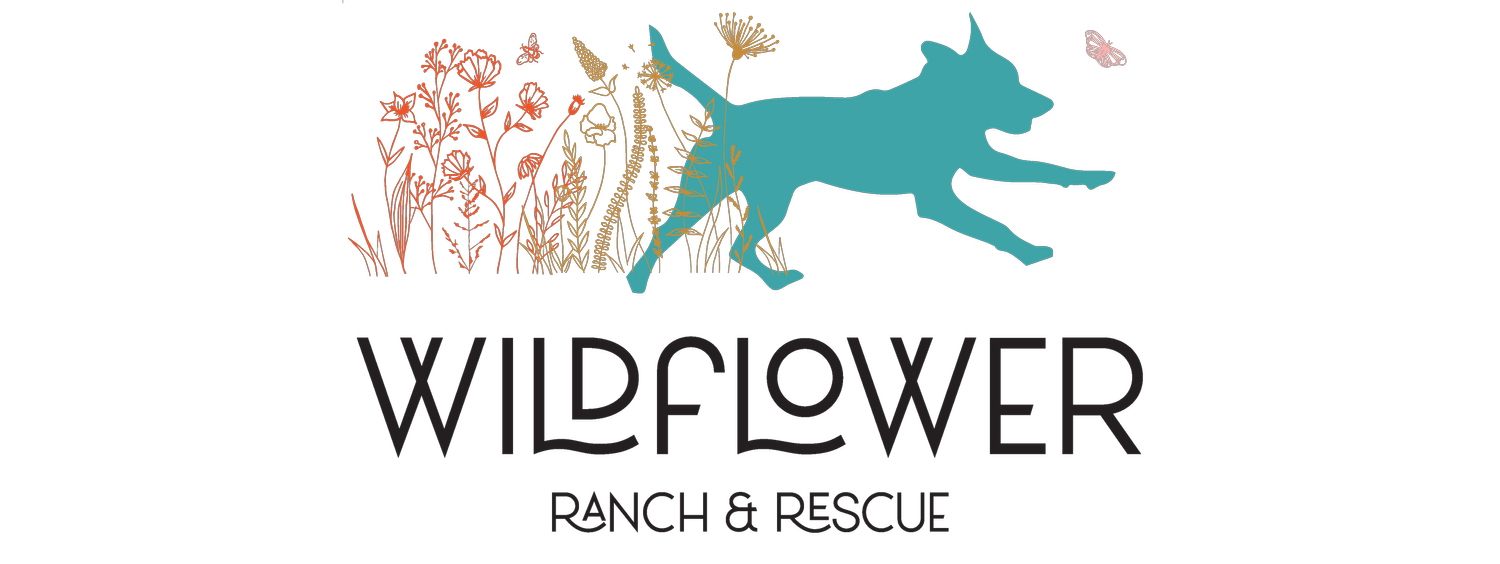 Wildflower Ranch and Rescue
