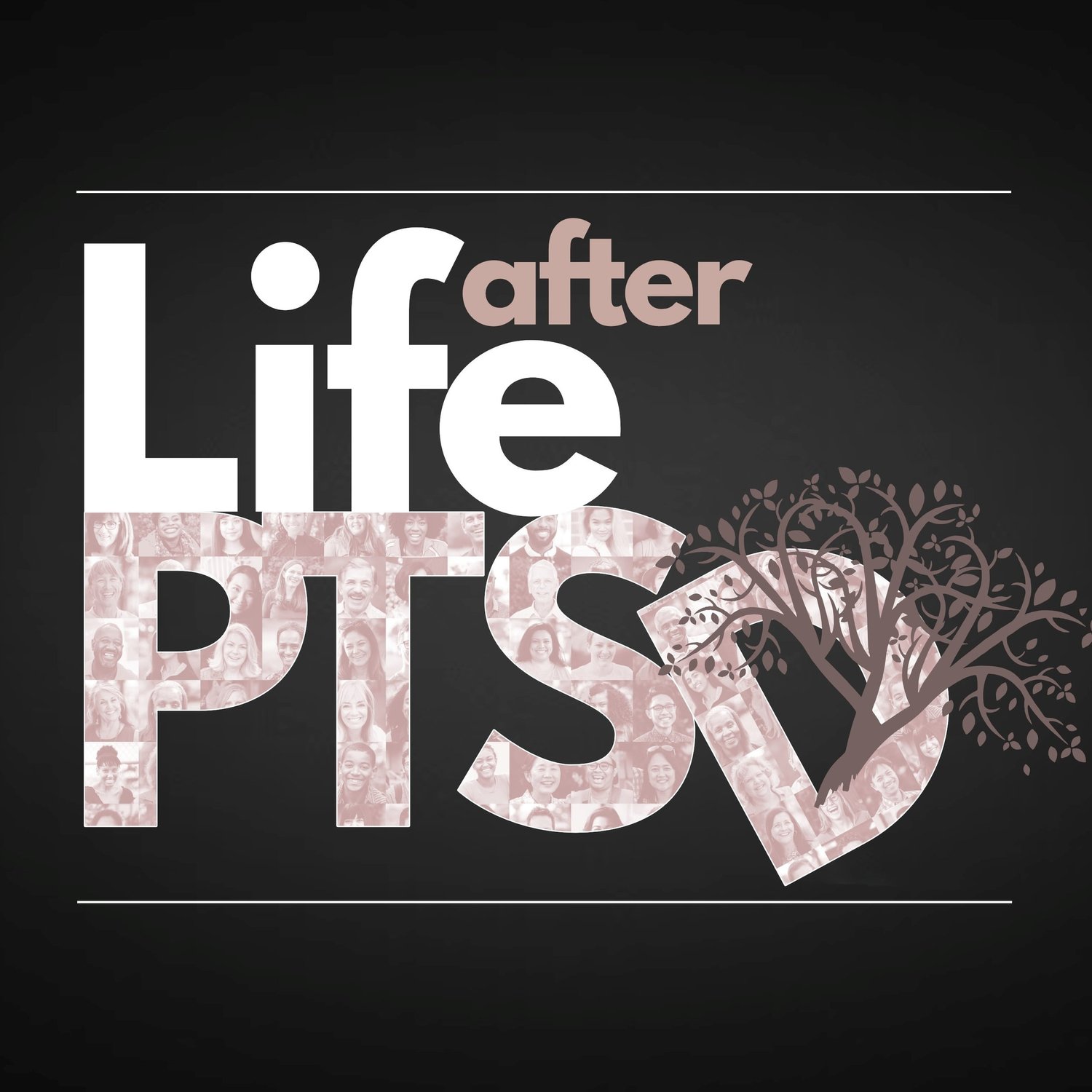 Life After PTSD