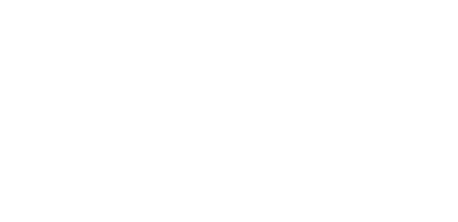 Dr. Willie Ng - Leadership Coach