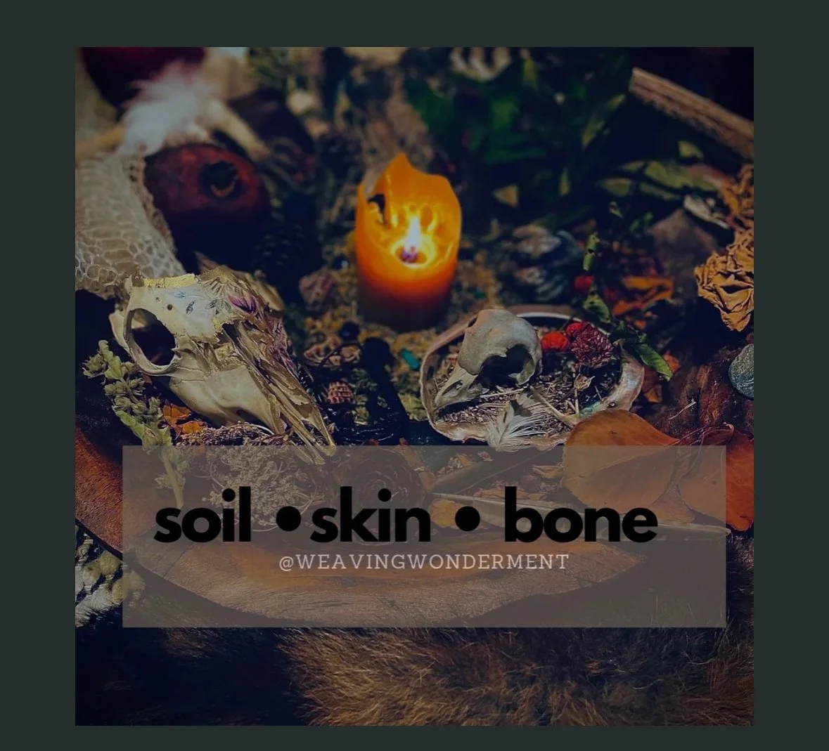 Soil.Skin.Bone (Weaving wonderment)