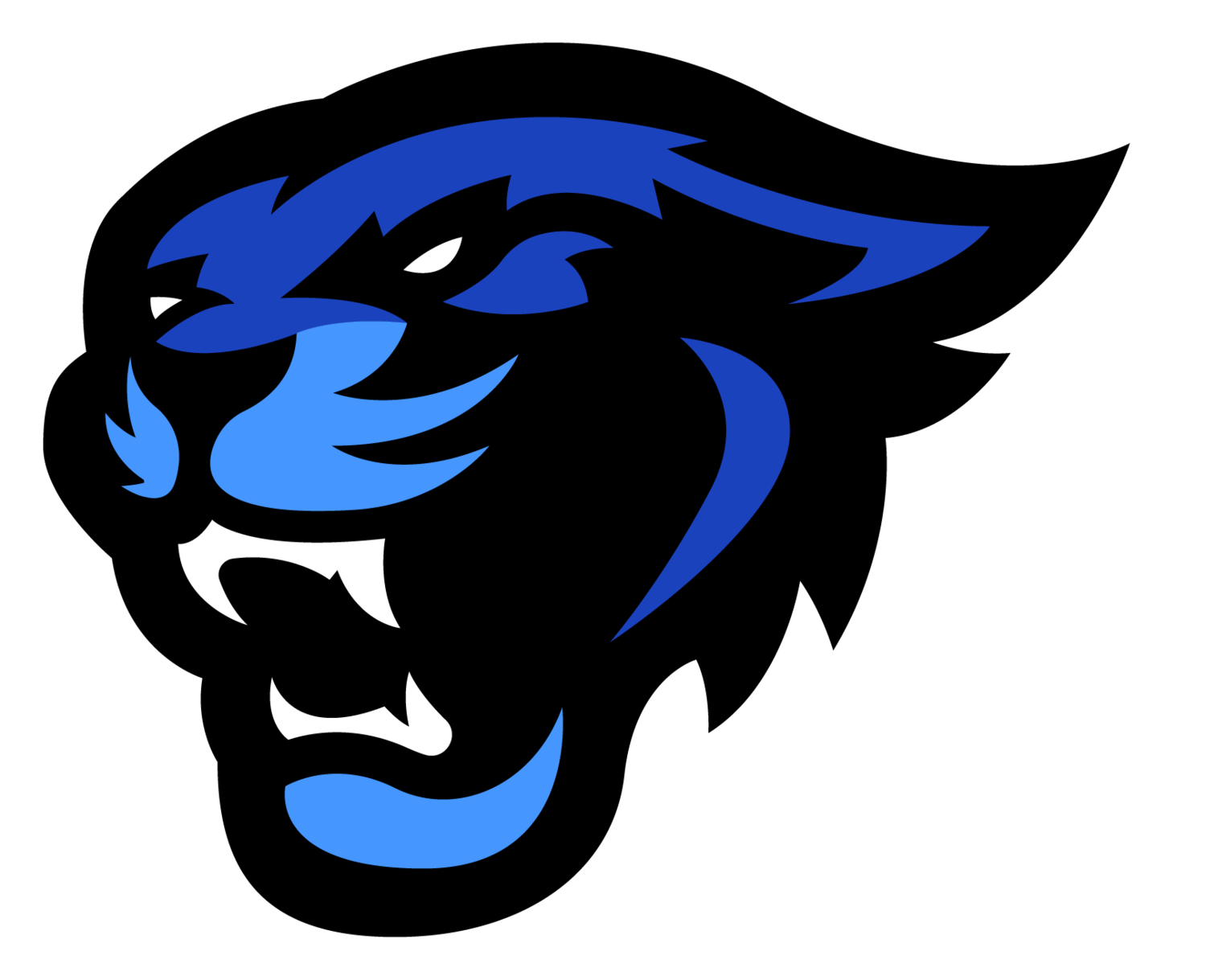 Kalamazoo Cougars | Homeschool Sports