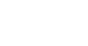 Palms to Pines Creative | Premium Content Delivered Quickly