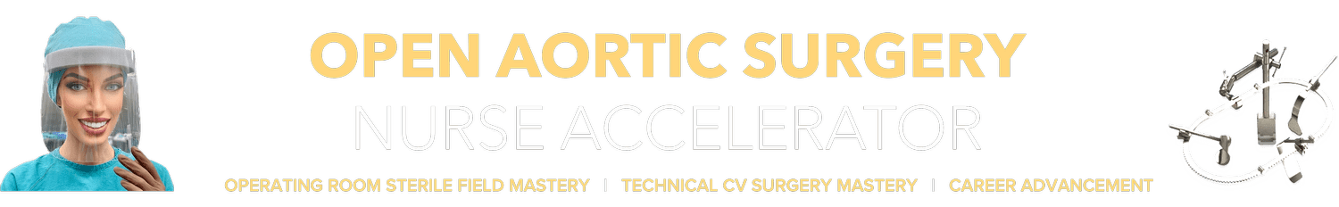 Open Aortic Surgery Fellowship