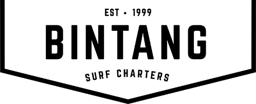 Bintang Surf Charters