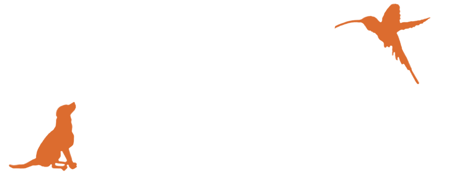 Wildlife &amp; Welfare