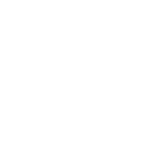 BLACK LITERACY CODE