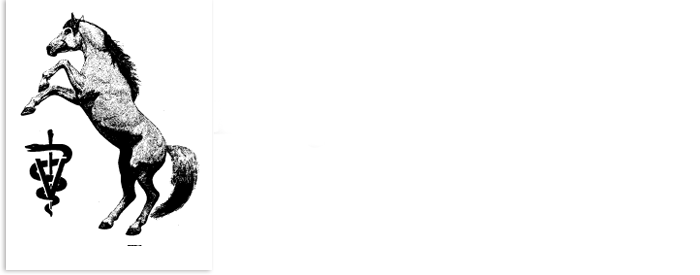 Douglas Novick DVM