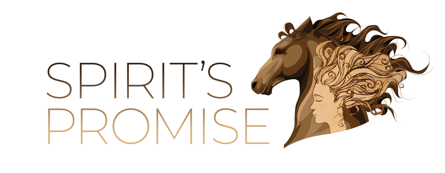 Spirit&#39;s Promise