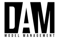 dammodelmanagement