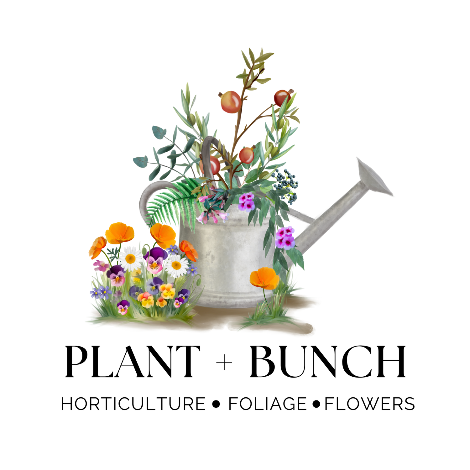 Plant+Bunch